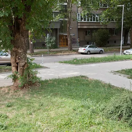Stelt's Apartment
